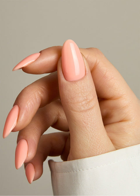 TGB Pastel BIAB Bundle - DK BEAUTY
