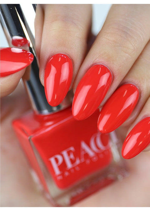Peacci August - DK BEAUTY