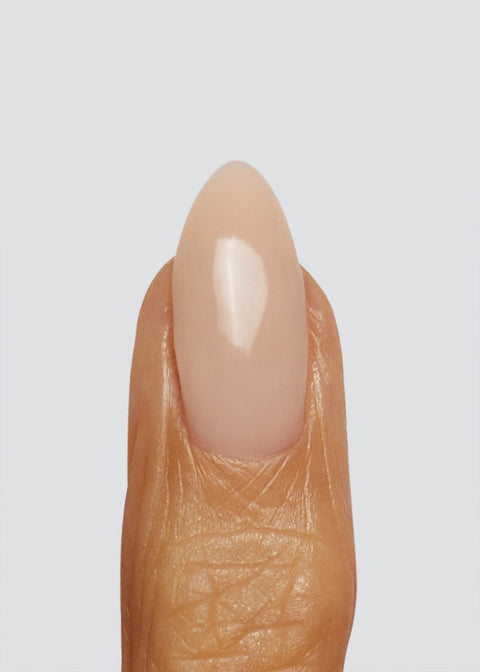 TGB ProForm Shell - DK BEAUTY