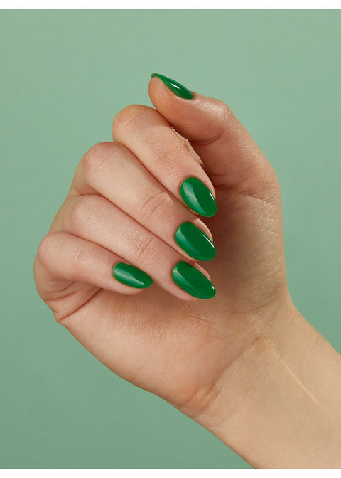 Peacci Envy - DK BEAUTY