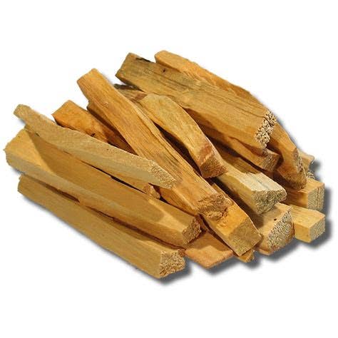 Healing Hollow Palo Santo Essential Oil - 5 mL
