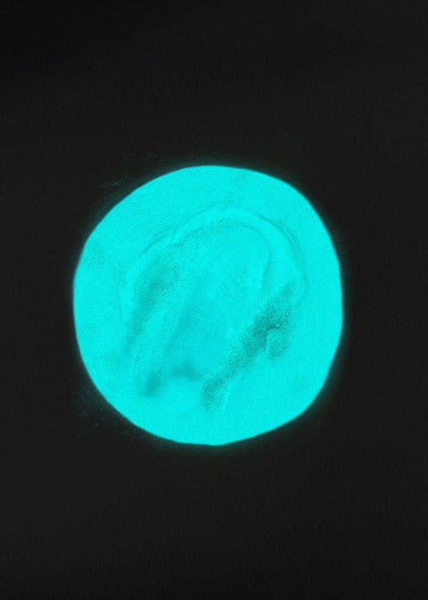 TGB Glow Green Pigment - DK BEAUTY