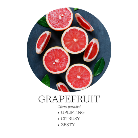 Citrus Mist Surface Cleaner