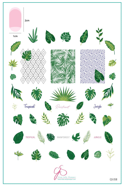 CJS Tropical Leaves Stamping Plate - DK BEAUTY