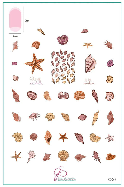 CJS She Sells Sea Shells - DK BEAUTY