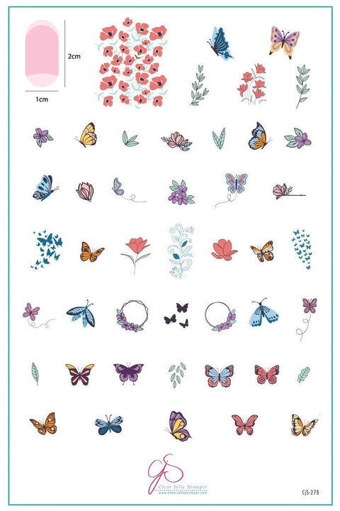 CJS Flutterby Stamping Plate - DK BEAUTY