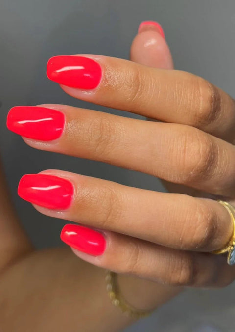 Buttercream Sahara Sunset - DK BEAUTY
