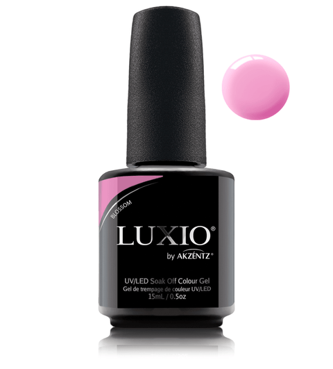Luxio Blossom (Tint) - DK BEAUTY