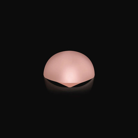 Gel - X Neutrals Margot Stiletto - DK BEAUTY