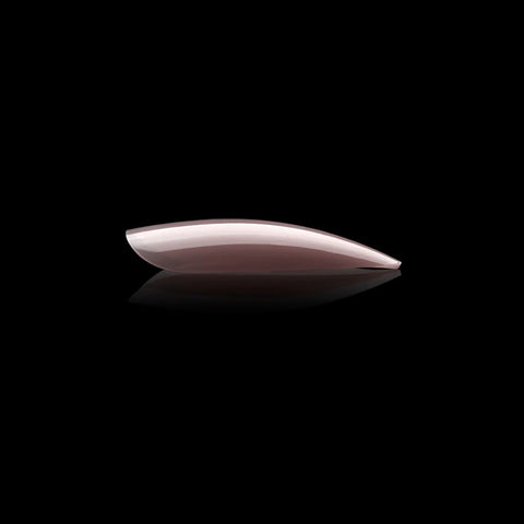 Gel - X Neutrals Mia Stiletto - DK BEAUTY