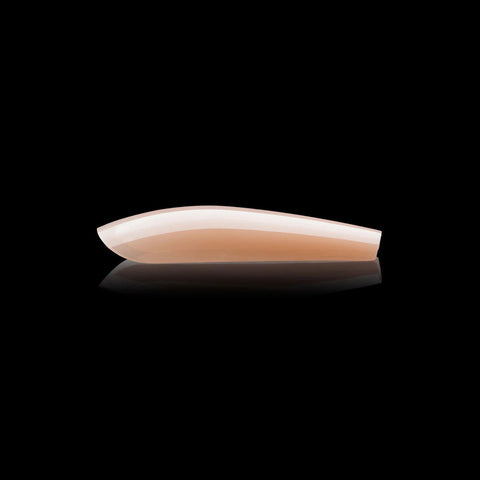 Gel - X Neutrals Alex Sculpted Coffin Long - DK BEAUTY