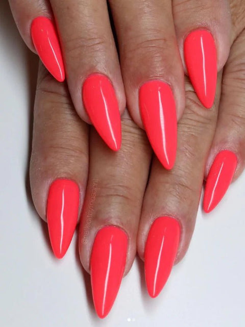 Buttercream Sahara Sunset - DK BEAUTY