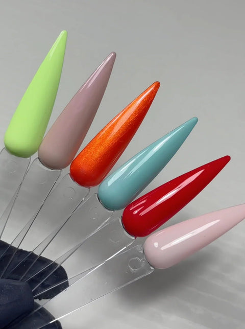 P+ Gel Polish Wonderland Set - DK BEAUTY