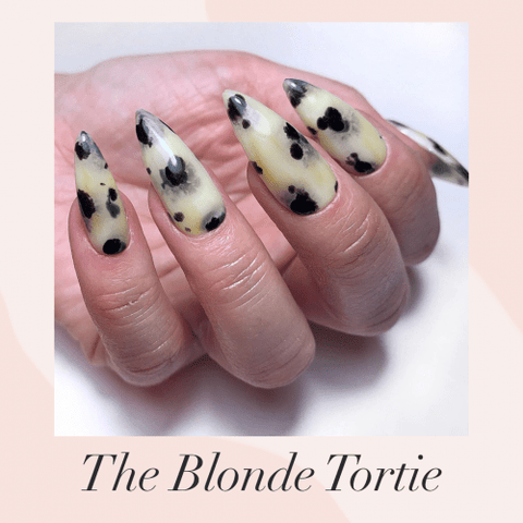 TGB Tortie Kit - DK BEAUTY