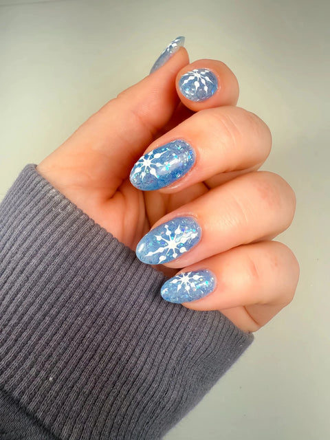 LE P+ Ocean Jelly - DK BEAUTY