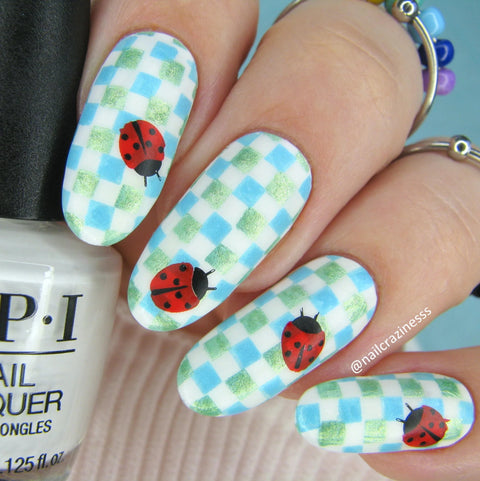 CJS Patterned Spring Stamping Plate - DK BEAUTY