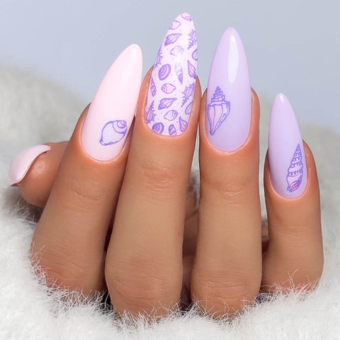 CJS She Sells Sea Shells - DK BEAUTY