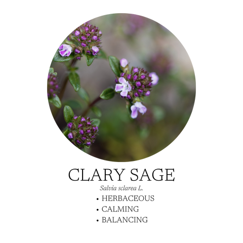 Zen Essential Oil Blend 10 mL
