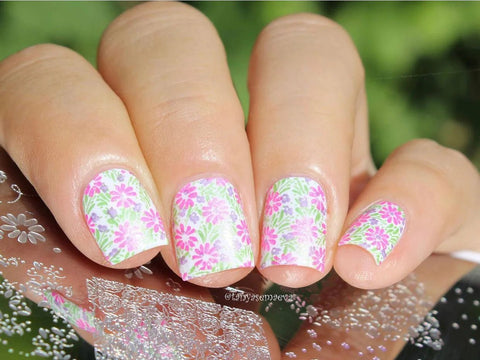 CJS Spring Daisy Stamping Plate - DK BEAUTY