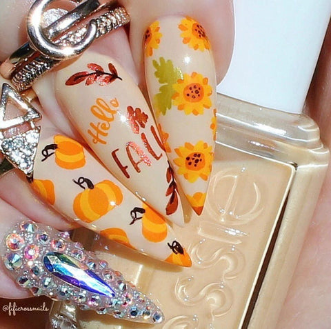 CJS - Talia's Pumpkin Patch Stamping Plate - DK BEAUTY