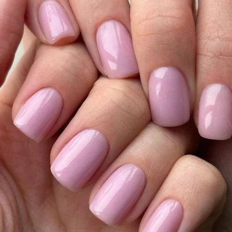 Luxio Shell (Sheer) - DK BEAUTY