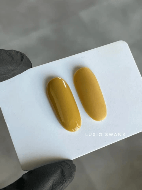 Luxio Swank (C) - DK BEAUTY