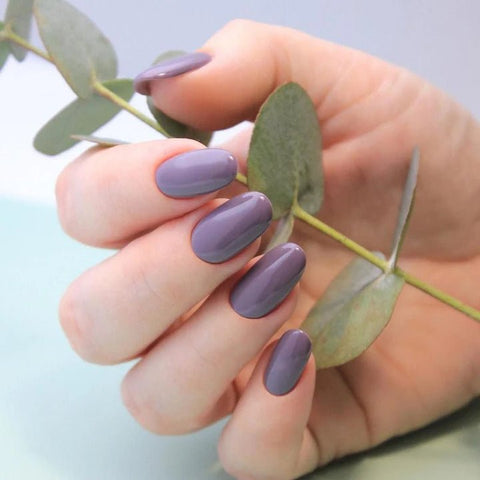 Luxio Willow (C) - DK BEAUTY