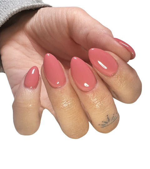 LE P+ Just Venting - DK BEAUTY