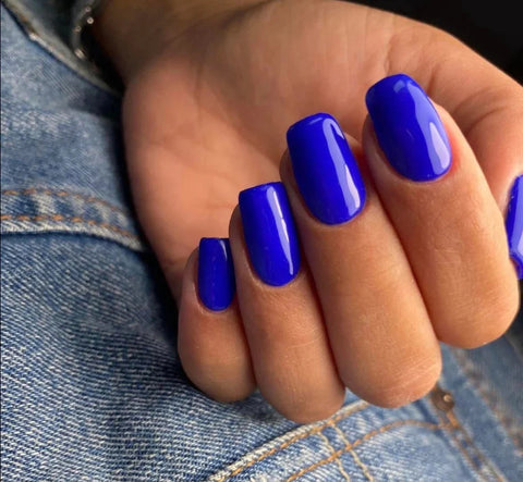 Light Elegance Buttercream Peek A Blue