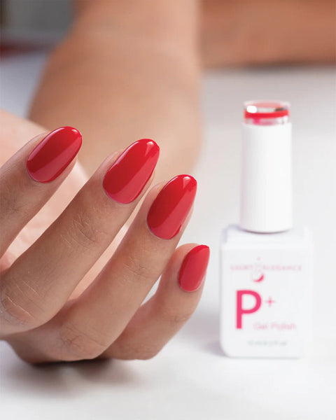 P+ Hello Starter Kit - DK BEAUTY