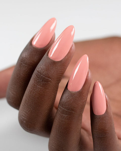 ButterCream • Meet at the Market - DK BEAUTY