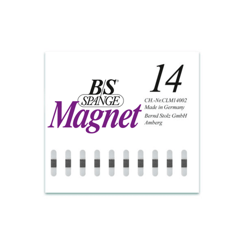 BS Brace Magnetic Braces - 10 pack - DK BEAUTY