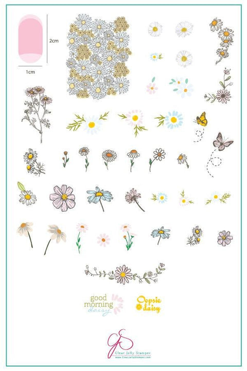 CJS I Dream of Daisies Stamping Plate - DK BEAUTY