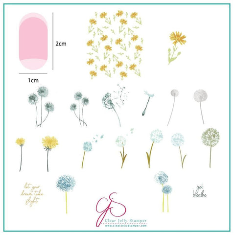CJS - Just Breathe - DK BEAUTY