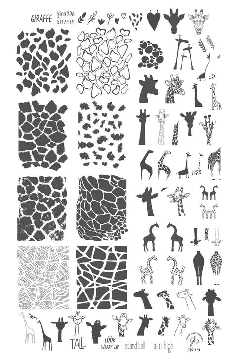 Clear Jelly Stamper - Wild Kingdom Giraffe - DK BEAUTY