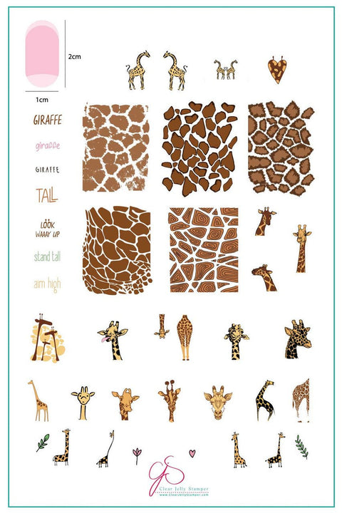Clear Jelly Stamper - Wild Kingdom Giraffe - DK BEAUTY