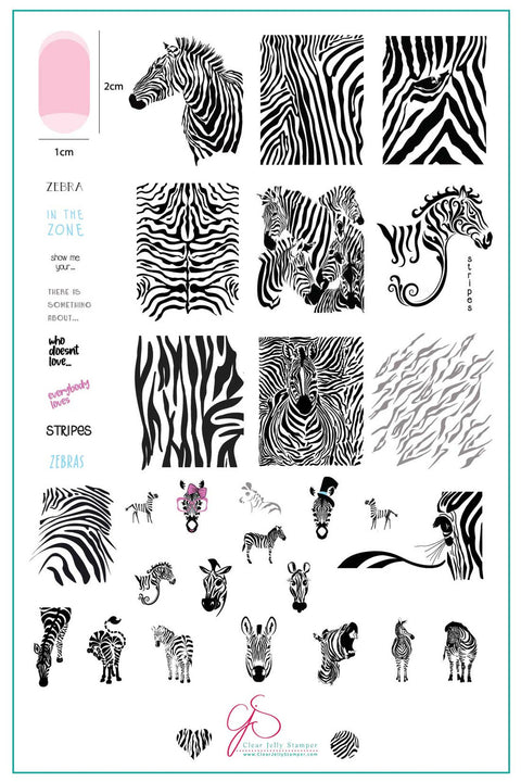 Clear Jelly Stamper - Wild Kingdom Zebra - DK BEAUTY