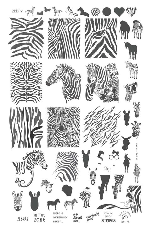 Clear Jelly Stamper - Wild Kingdom Zebra - DK BEAUTY