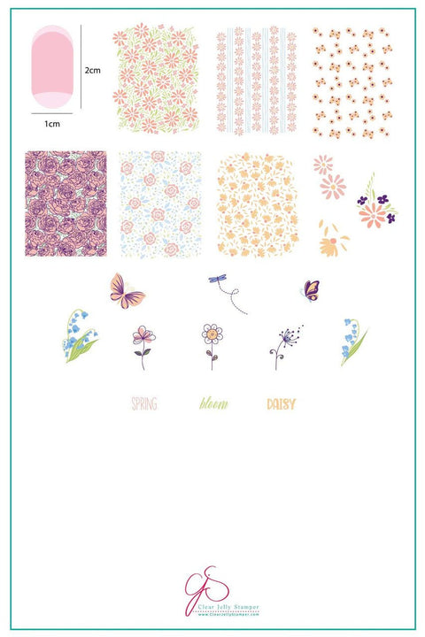 CJS Spring Daisy Stamping Plate - DK BEAUTY