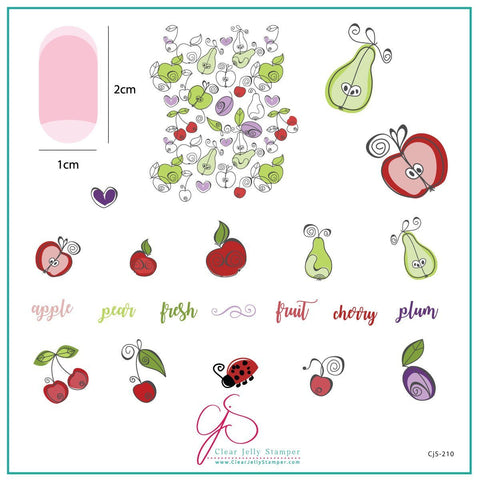 CJS Fruit Cocktail Stamping Plate - DK BEAUTY