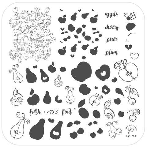 CJS Fruit Cocktail Stamping Plate - DK BEAUTY
