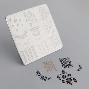 CJS Perfect Prints Stamping Plate - DK BEAUTY
