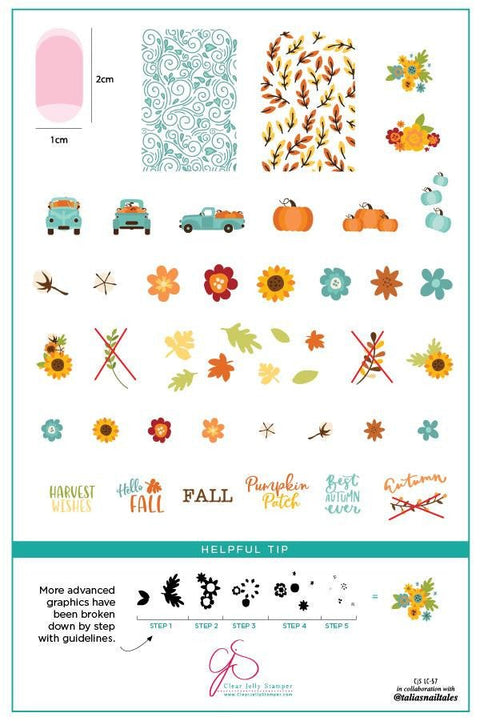 CJS - Talia's Pumpkin Patch Stamping Plate - DK BEAUTY
