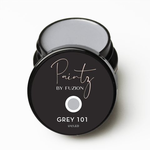 Fuzion Paintz Grey 101 8g - DK BEAUTY
