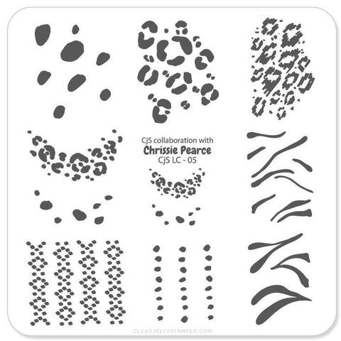 CJS Perfect Prints Stamping Plate - DK BEAUTY