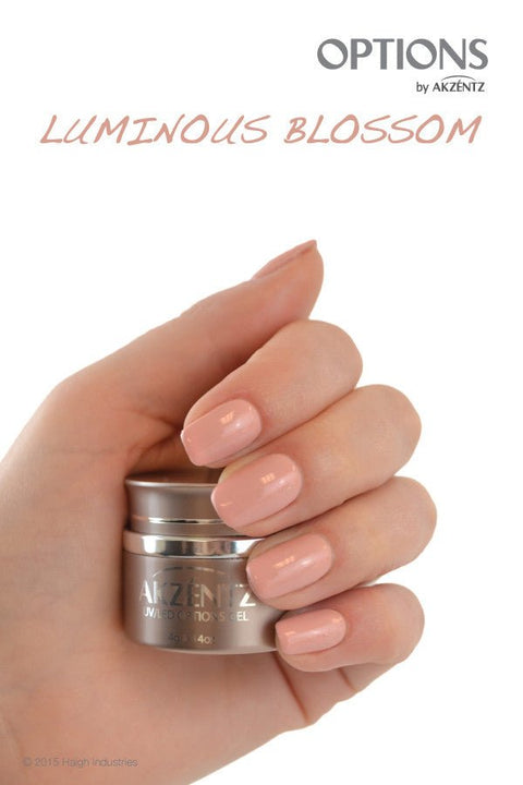 Options© Luminous Blossom (C) - DK BEAUTY