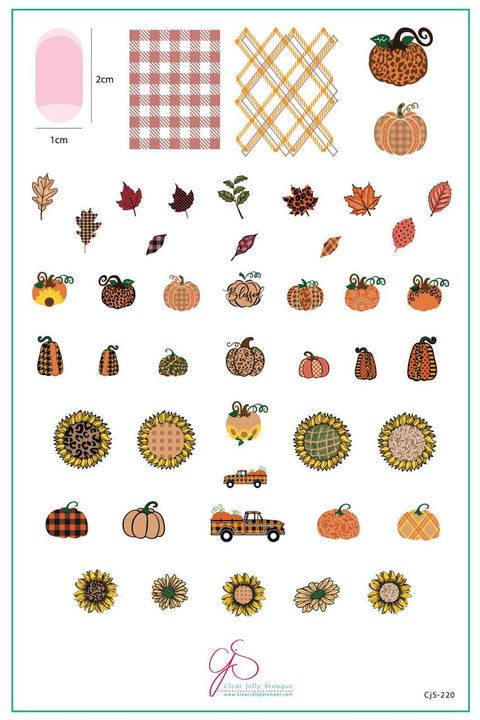 Clear Jelly Stamper - Patterned Pumpkins - DK BEAUTY