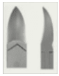 NASP Premium Toenail Clipper - DK BEAUTY
