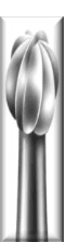 NASP Large Round Corn Removal Bit (single) - DK BEAUTY