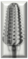 NASP Steel Cut Bud – Thick Nail Reducer - DK BEAUTY